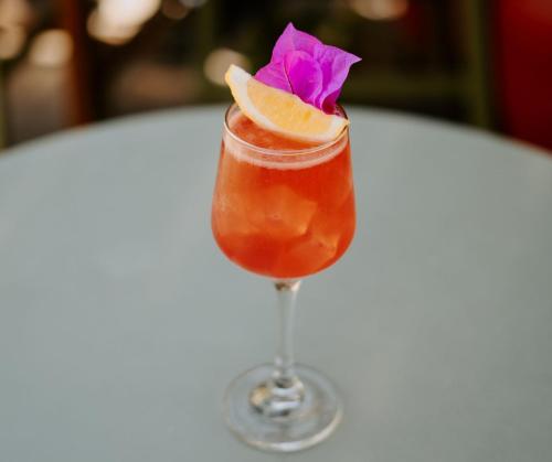 a drink in a glass with a flower on a table at Viajero Oaxaca Hostel in Oaxaca City