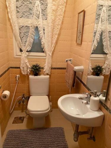 a small bathroom with a toilet and a sink at Madinaty Gardens in Madinaty