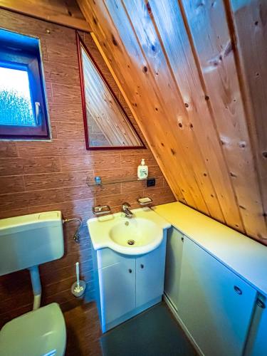 a bathroom with a sink and a toilet at Kuća za odmor Vesna in Stari Laz