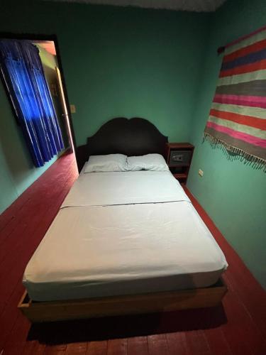 a bed in a bedroom with a green wall at Valerie Emanuel Apartments in Bocas del Toro
