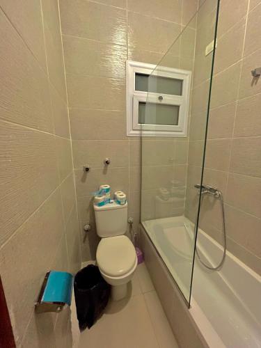 a small bathroom with a toilet and a shower at Nile Panorama Hotel in Luxor
