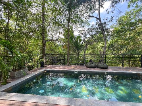 a swimming pool in the middle of a yard with trees at Rincon de la Sierra Minca in Minca