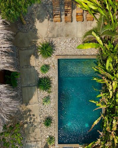 a swimming pool in a garden with plants at Casa Bahareque in Puerto Escondido