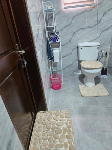 a bathroom with a toilet and a ladder in it at Sultan Apartments Lagos in Lagos
