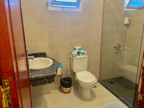 a bathroom with a toilet and a sink at Nile Panorama Hotel in Luxor