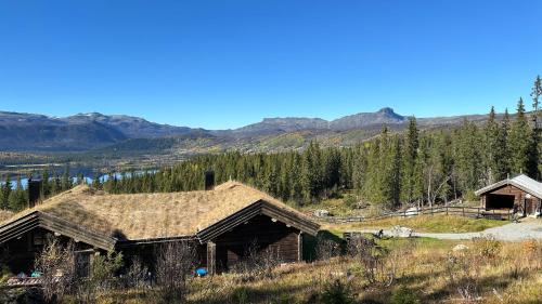 an old cabin with a straw roof on a mountain at Liaplassen Tømmerhytte in Beitostøl