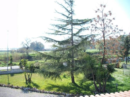 Jardín al aire libre en Agriturismo PrimErio