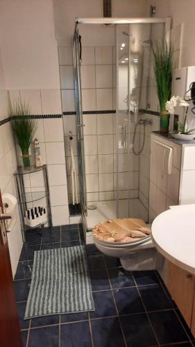 a bathroom with a shower and a toilet at Seetempel 19 - direkt am Strand ,Hunde willkommen in Scharbeutz