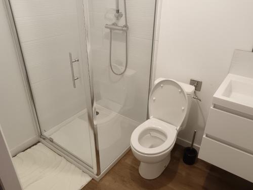 a white bathroom with a shower and a toilet at La Fabrique in Sainte-Livrade-sur-Lot