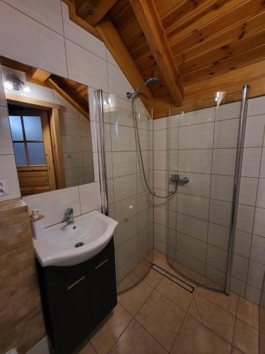 a bathroom with a sink and a shower at Hacjenda in Susiec
