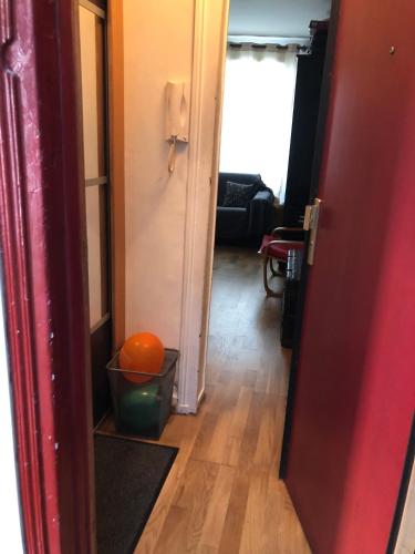 - un couloir avec une orange dans un seau dans l'établissement Lovely studio Heart of Paris, à Paris