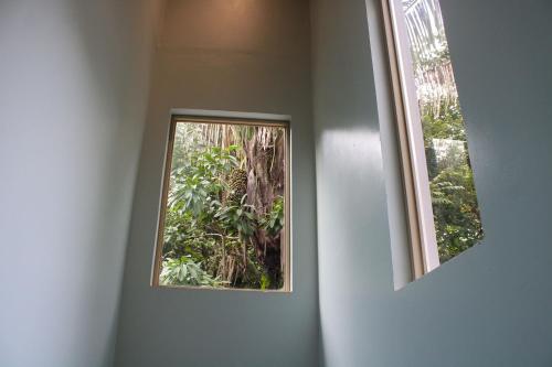 two windows in a room with a tree at Nosara Verde in Nicoya