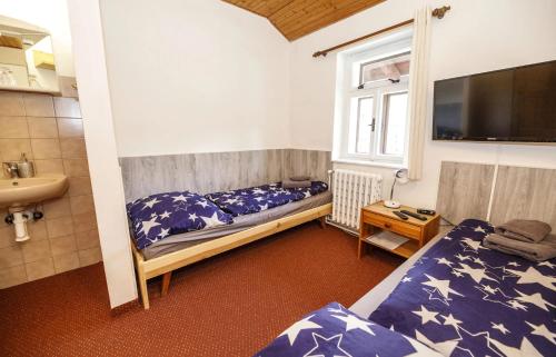 a bedroom with two beds and a sink and a tv at Pension Martinské údolí in Kořenov