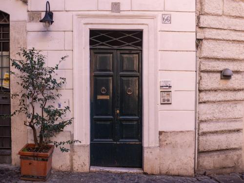 Navona Little Home