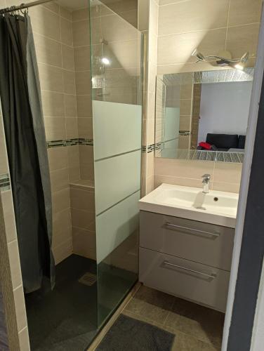 une salle de bain avec un lavabo et une douche dans l'établissement Logement Coquelicot, à Saint-Cyprien
