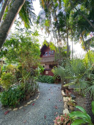 a house in the middle of a garden with trees at Baan Zen - 6 PAX Waterfront Retreat - 200 mt from the beach in Ban Map Khangkhao