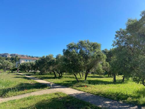 a path through a park with trees and grass at Au pied des Alpilles in Paradou