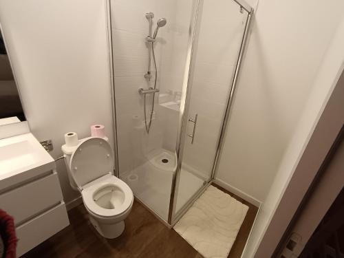 a bathroom with a shower and a toilet at Terracotta in Sainte-Livrade-sur-Lot