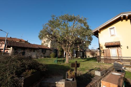 a house with a tree in the middle of a yard at Il Salice B&B in Veruno