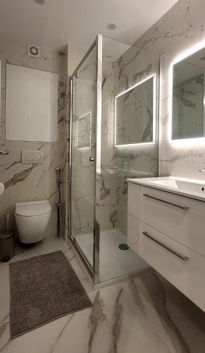 une salle de bain avec une douche, des toilettes et un lavabo dans l'établissement Cozy studio in the heart of Cannes, à Cannes