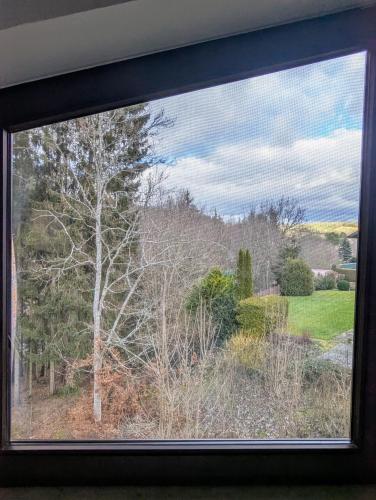a view of a tree from a window at Wald Villa Schönau in Schönau an der Brend