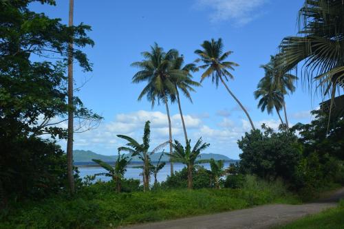 a group of palm trees on the side of a road at Jima's Home Retreat in Matei