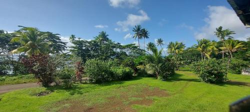 a park with palm trees and grass and bushes at Jima's Home Retreat in Matei