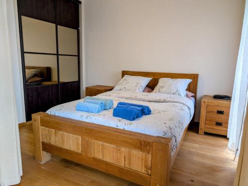 une chambre avec un lit avec deux oreillers bleus dessus dans l'établissement F2 Rouen Centre Gare Boulingrin - possibilité de parking, à Rouen