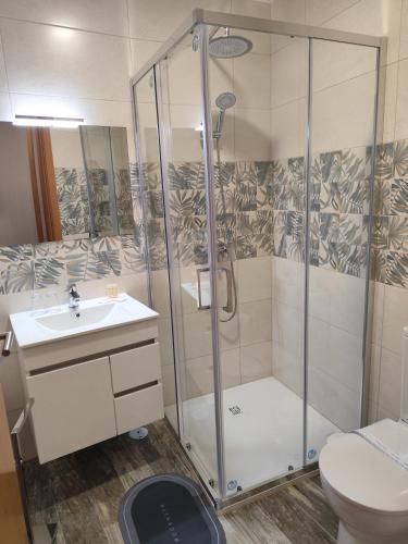 a bathroom with a shower and a sink and a toilet at Casinhas da aldeia-casa da xiquita in Seia