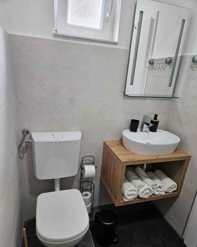 Studio in Novi Vinodolski 45264