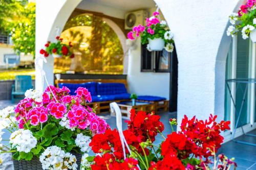 Apartment in Malinska - Insel Krk 53316