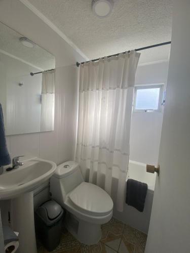 a white bathroom with a toilet and a sink at Casa Ovejero in Punta Arenas