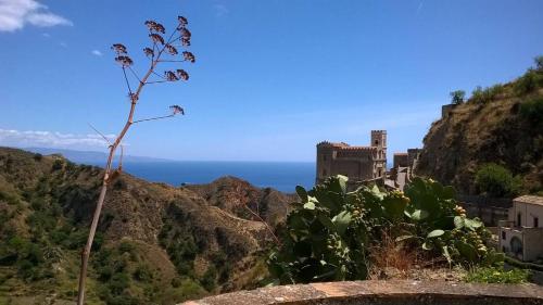 a plant on the side of a mountain with a castle at B&B Il Padrino in Savoca 