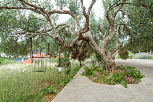 a swing hanging from a tree in a garden at Apartments with parking space Bozava, Dugi otok - 23903 in Božava