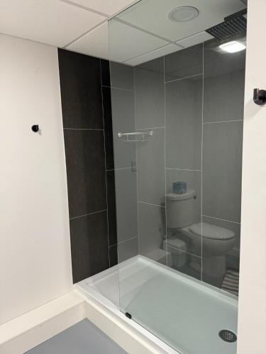 a bathroom with a glass shower with a toilet at Serene 7BR Haven by the Lake home in Sullivan
