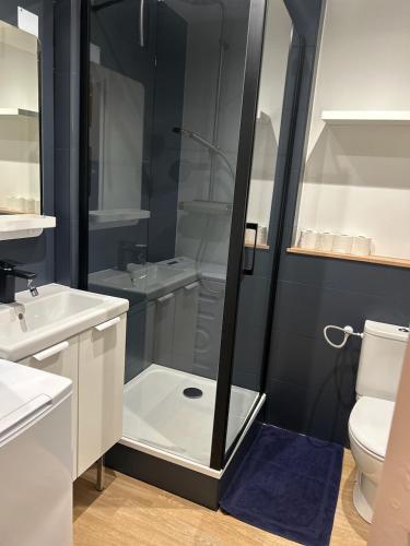 une salle de bain avec une douche, des toilettes et un lavabo dans l'établissement Cosy, lumineux - 1ch'- 2 lits - 4pers'- Streaming, à Metz