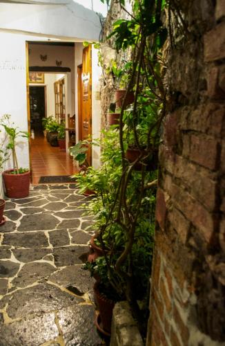 a stone walkway with plants on the side of a building at Hotel Mi Casita in Taxco de Alarcón