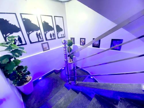 a set of stairs with plants and purple lights at Dakhla sky blue in Dakhla