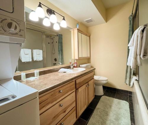 a bathroom with a sink and a toilet at 1BR 1BA for 5 Close to Outdoor Activities in Brian Head