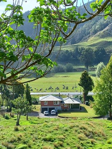 a house in the middle of a green field at Hill top view farm stay in Uruti