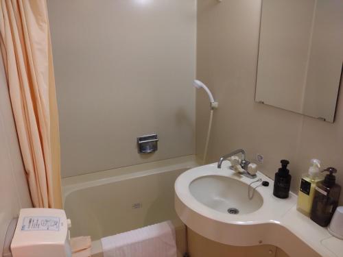 a bathroom with a sink and a mirror at Hotel Crown Hills Toyama in Toyama