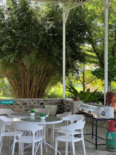 a patio with white tables and chairs and trees at 4 Simple Minimalistic Rooms at Sunset Lodge - Eco Valley Retreat 豐之谷 in Balung
