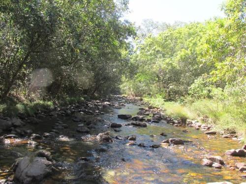 a river with rocks and trees on the side at Camping aldeia- traga seu equipamento de camping in Alto Paraíso de Goiás
