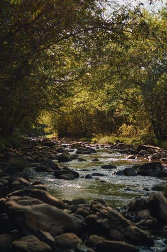 a river with rocks and trees on the side at Camping aldeia- traga seu equipamento de camping in Alto Paraíso de Goiás