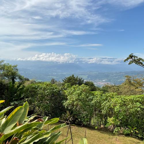 a view of the hills from a banana plantation at Quinta los volcanes in Turrialba