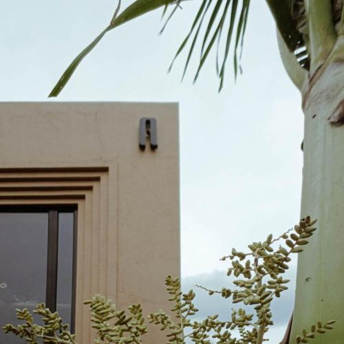 a building with a window and a palm tree at Adhisthana Villas in Borobudur