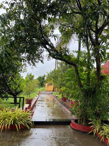 a garden in the rain with trees and plants at Amrapali Resort in Top