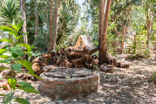 a small house in the middle of a forest at Bosques del Paico in El Monte