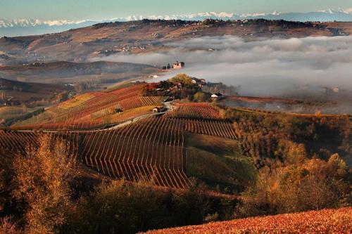 a view of a hillside with fog in the valley at I Boidi in Nizza Monferrato