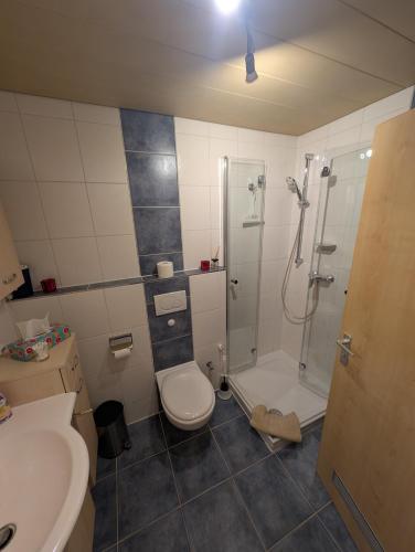 a bathroom with a shower and a toilet and a sink at Allgäu Alpenglück mit Sauna und Pool in Scheidegg